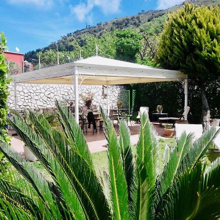 Villa Alessandro - Anacapri Екстериор снимка